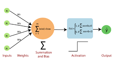 perceptron