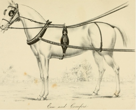 harness