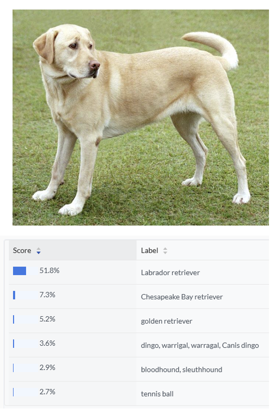 image-classification