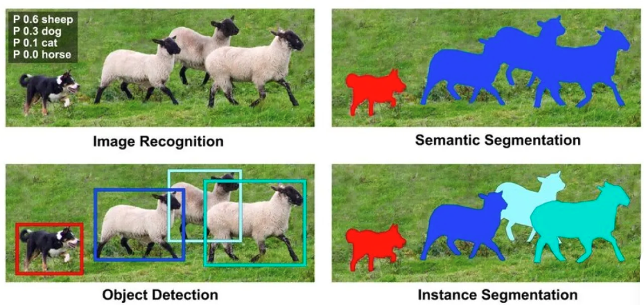 이미지 분류, semantic segmentation, object detection, instance segmentation 비교