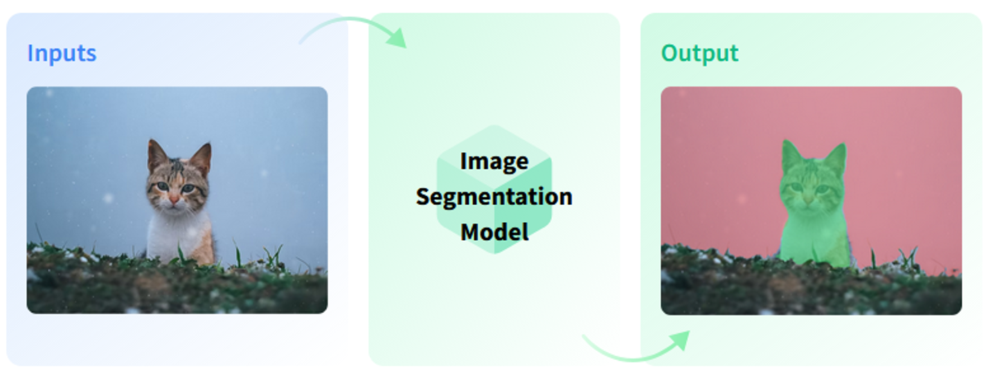 segmentation